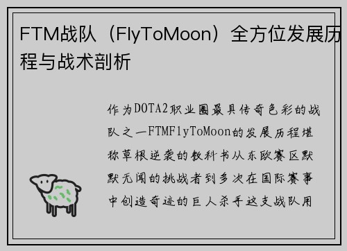 FTM战队（FlyToMoon）全方位发展历程与战术剖析