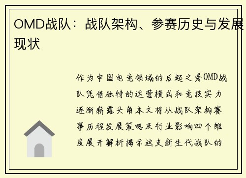 OMD战队：战队架构、参赛历史与发展现状